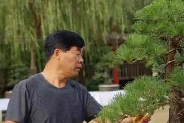 河南盆景艺术大师 吴德军老师