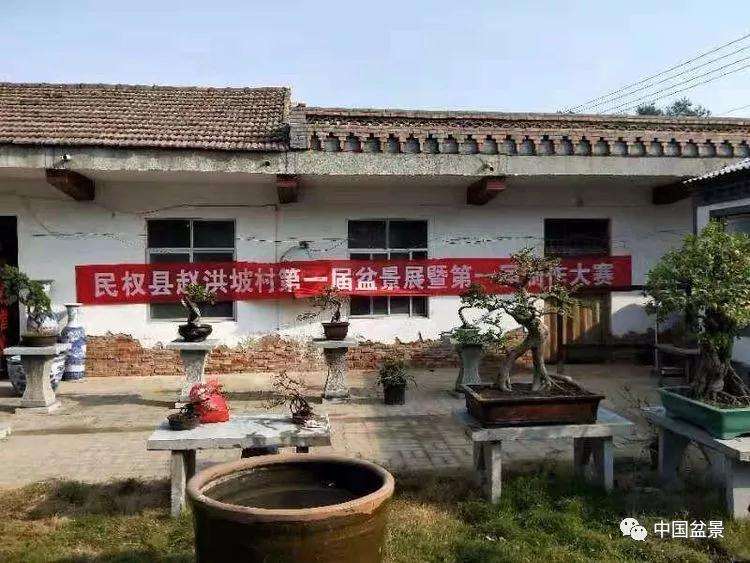 河南省盆景协会举办盆景创作大赛