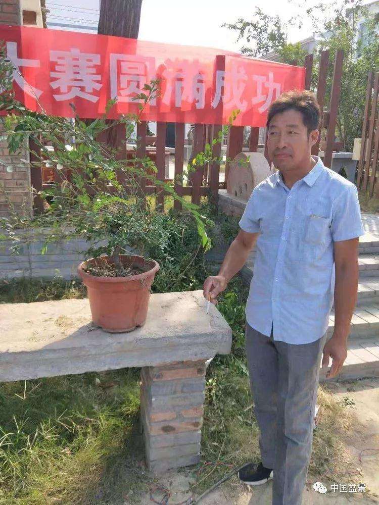 河南省盆景协会举办盆景创作大赛