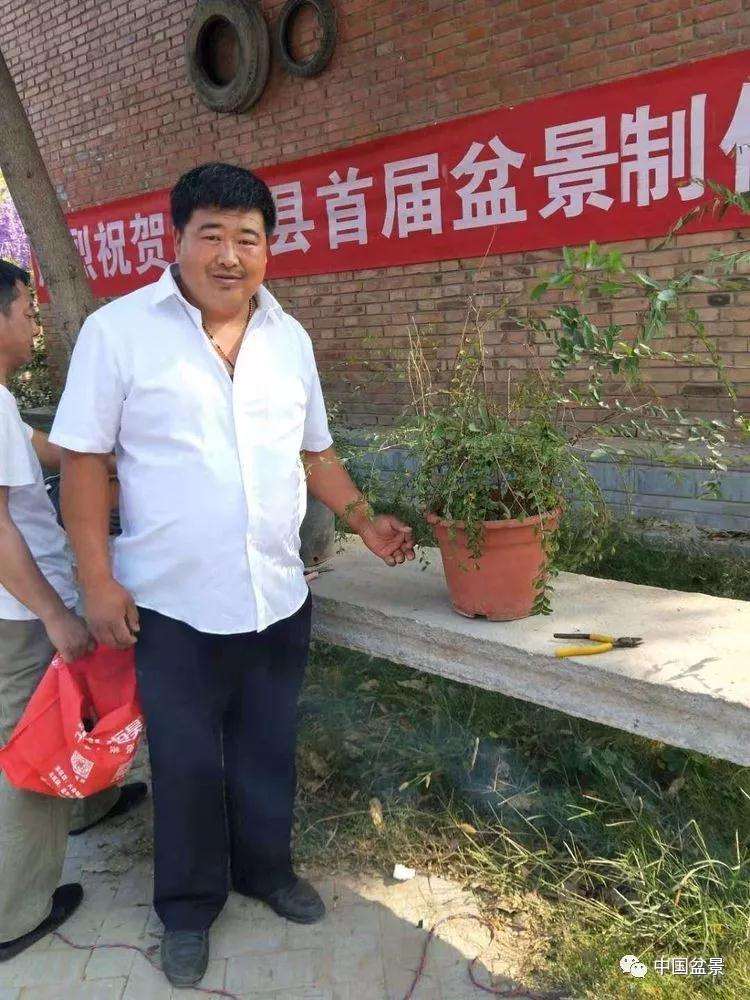 河南省盆景协会举办盆景创作大赛