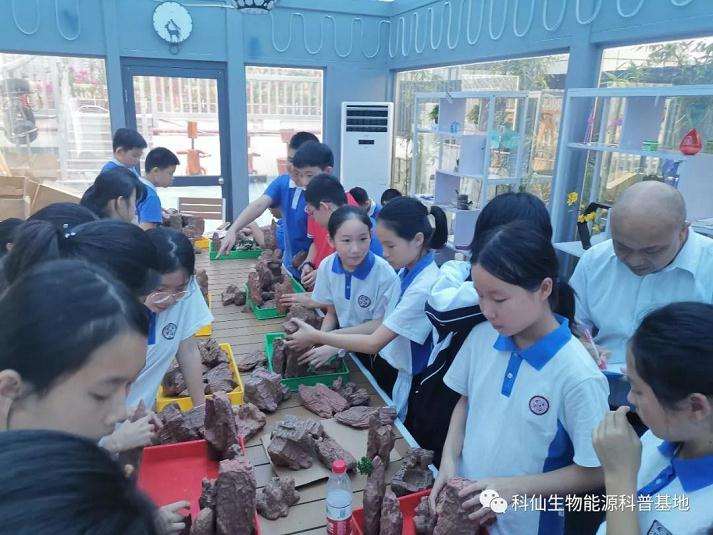 深圳市学府中学假山艺术盆景社团活动