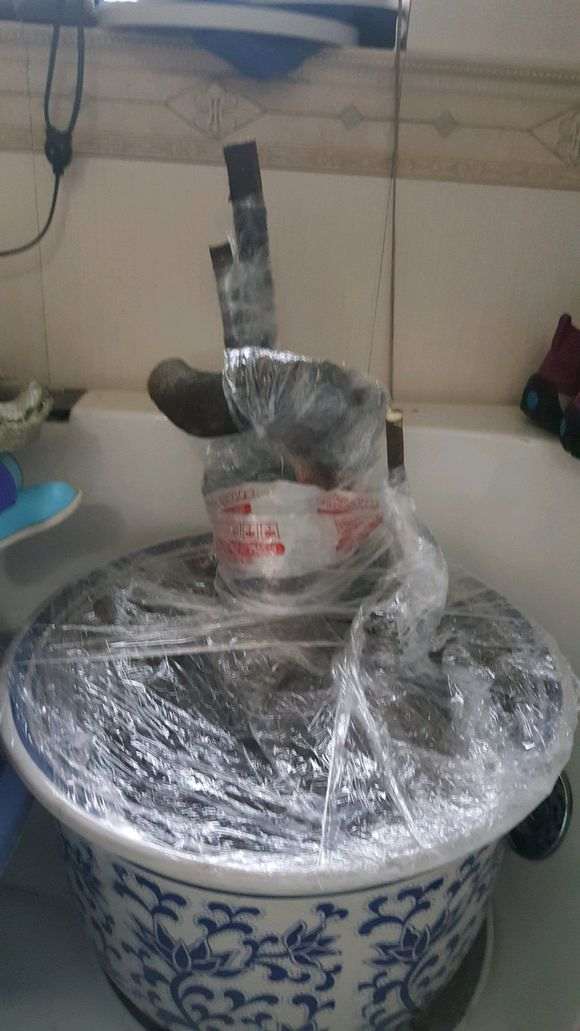 河沙高培栽金弹子下山桩