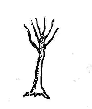 盆景该如何制作造型的方法