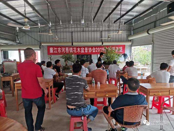 临廉江市河唇盆景协会交流指导会