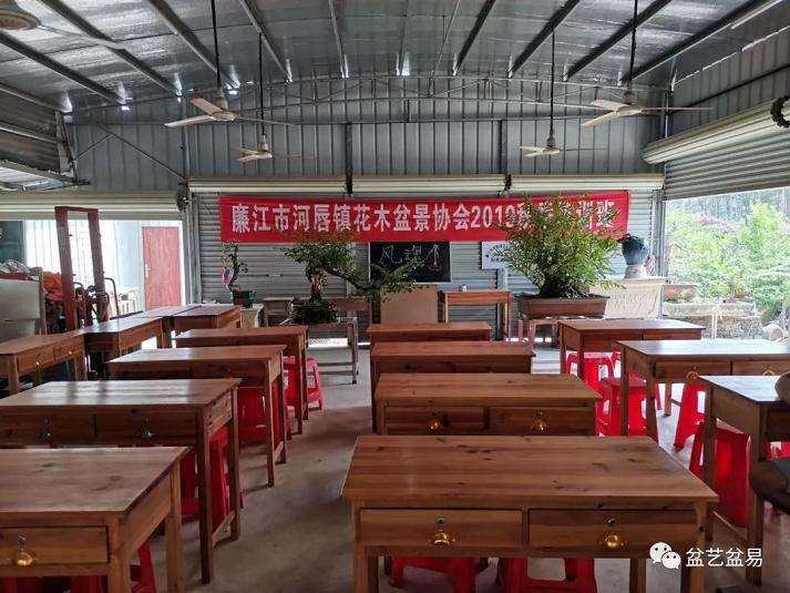 临廉江市河唇盆景协会交流指导会