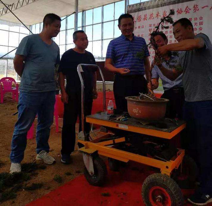 我前去参加我县第一届花木盆景展览会