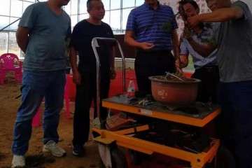 我前去参加我县第一届花木盆景展览会