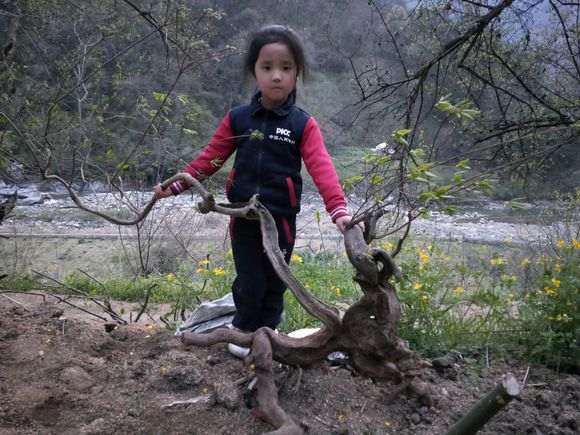 很多下山桩爱好者往往有个误区