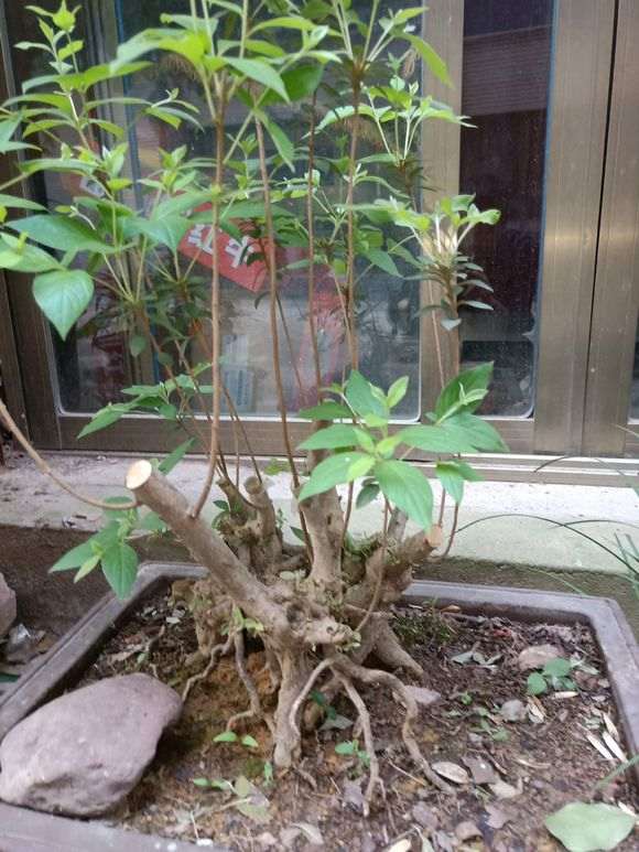 很多下山桩爱好者往往有个误区