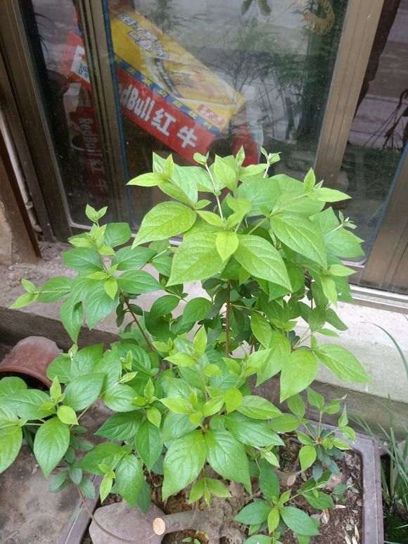 很多下山桩爱好者往往有个误区