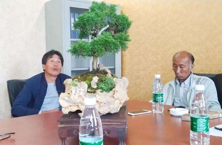嵩山风格盆景研讨会在登封市召开