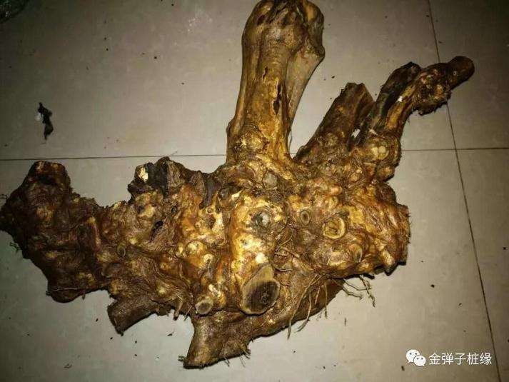 下山桩生桩怎么打包标准流程