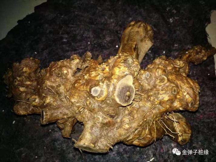 下山桩生桩怎么打包标准流程