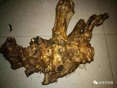 下山桩生桩怎么打包标准流程