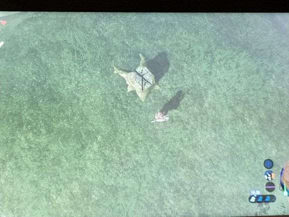 这个下山桩树桩有啥用吗