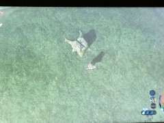 这个下山桩树桩有啥用吗