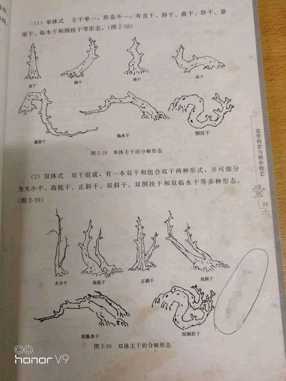 如何到山上能找到下山桩树桩