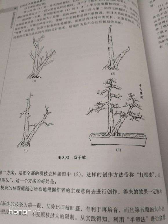 如何到山上能找到下山桩树桩