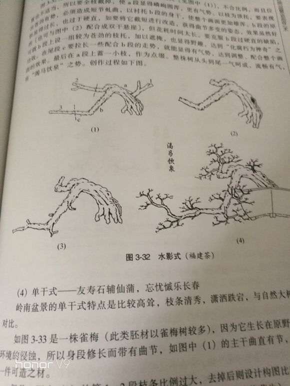 如何到山上能找到下山桩树桩