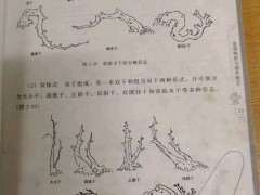 如何到山上能找到下山桩树桩