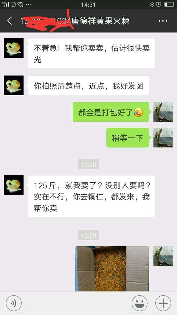 暴光一个卖火棘下山桩的骗子 图片