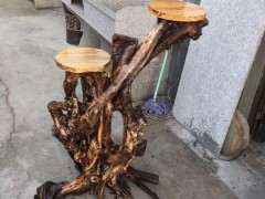 用榆树下山桩制作了一个花架 可以吗