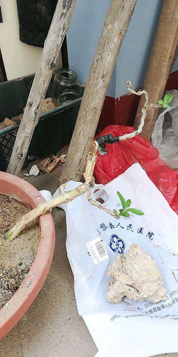 这个下山桩多少钱买的 45元买的 贵不贵