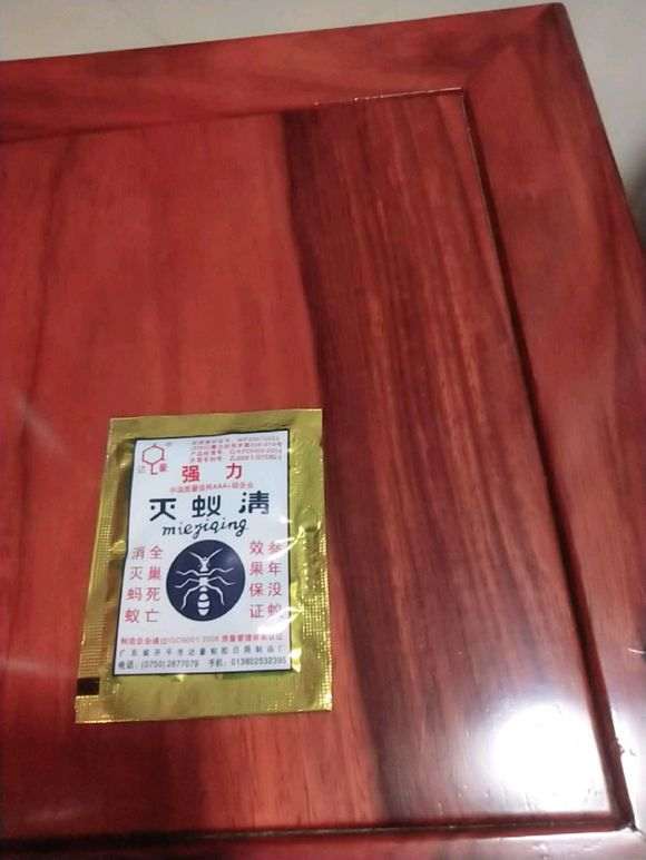下山桩树桩里有蚂蚁 怎么办 图片