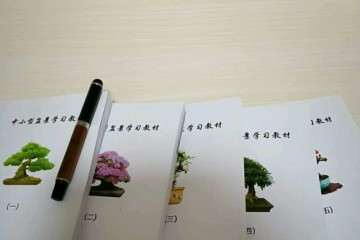 一本讲盆景怎么造型的书籍