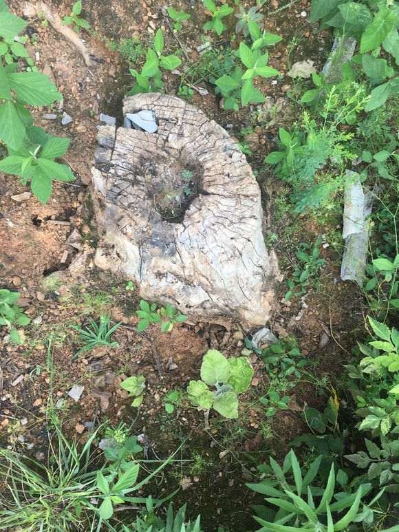 这是什么下山桩