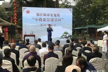 安龙小微盆景在都江堰景区开始展销啦