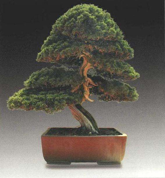 四川盆景交流中心新津基地的成立