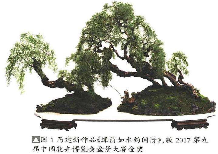 怎么制作仿垂柳型柽柳盆景的方法