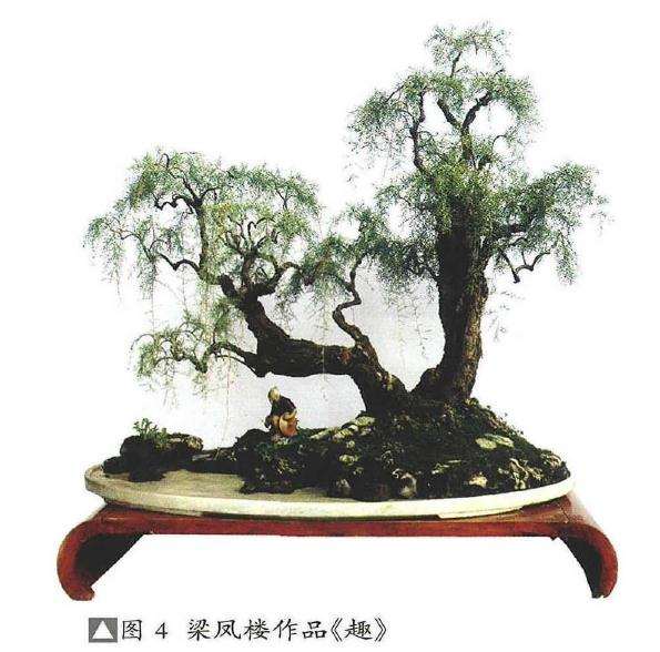 怎么制作仿垂柳型柽柳盆景的方法