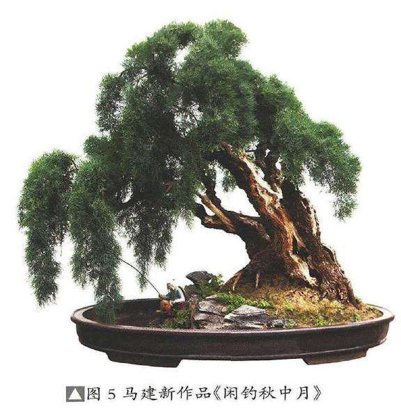 怎么制作仿垂柳型柽柳盆景的方法