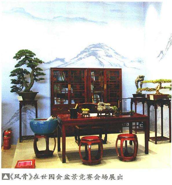 怀念胡乐国先生的盆景时代