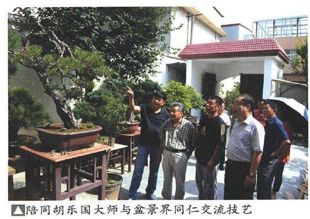 怀念胡乐国先生的盆景时代