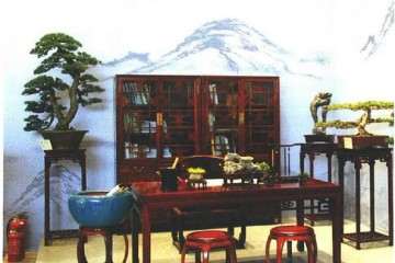 怀念胡乐国先生的盆景时代