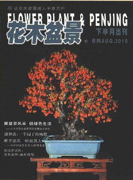 软迎玎阅2020年花木盆景杂志