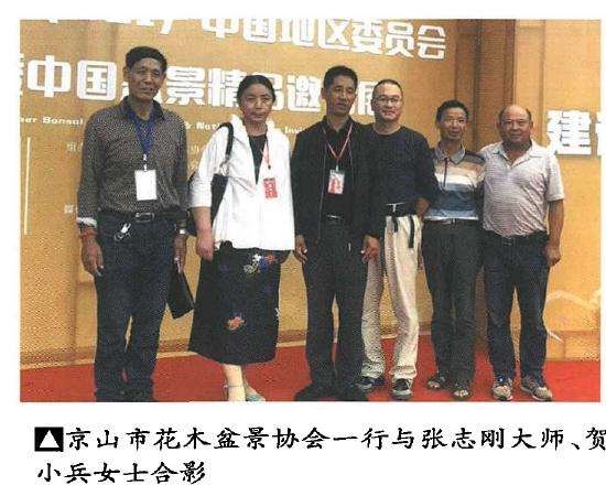 京山市花木盆景协会再获佳绩