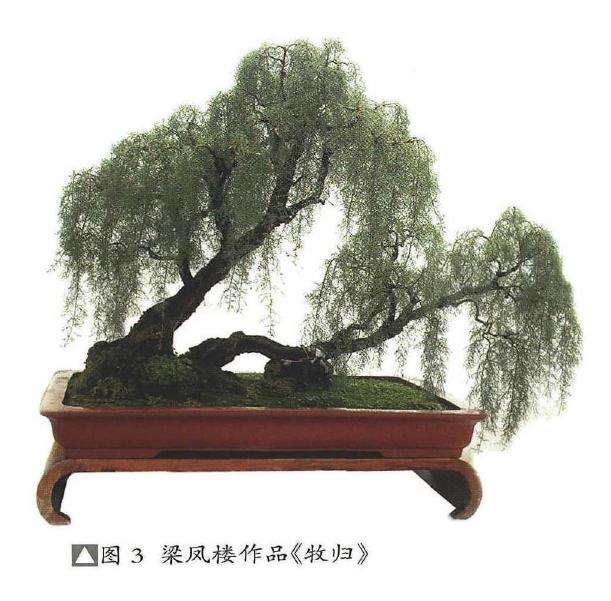 2019年 在胡乐国盆景艺术研讨会的发言