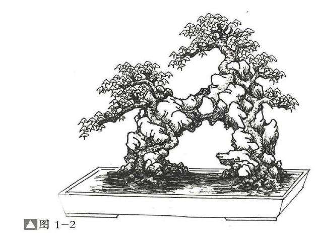 图解  过桥式附石盆景怎么制作的方法