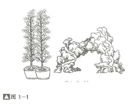 图解  过桥式附石盆景怎么制作的方法