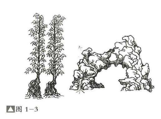 图解  过桥式附石盆景怎么制作的方法