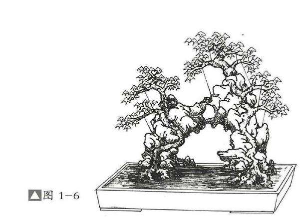 图解  过桥式附石盆景怎么制作的方法