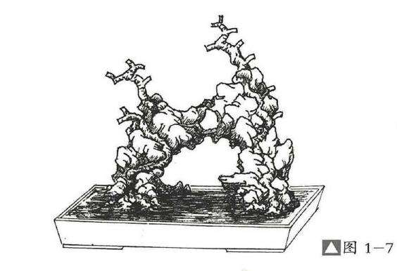 图解  过桥式附石盆景怎么制作的方法