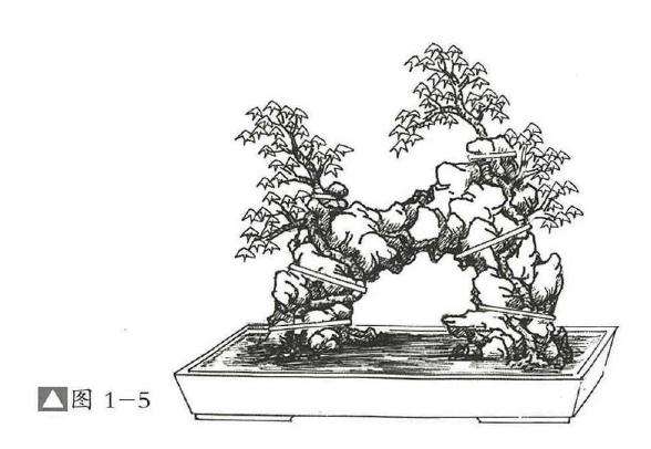 图解  过桥式附石盆景怎么制作的方法