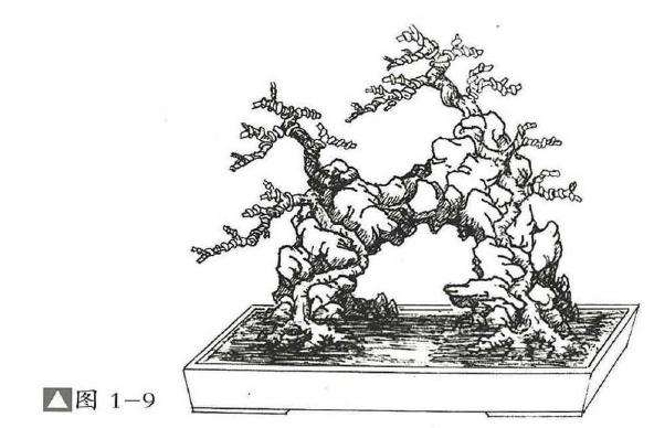 图解  过桥式附石盆景怎么制作的方法