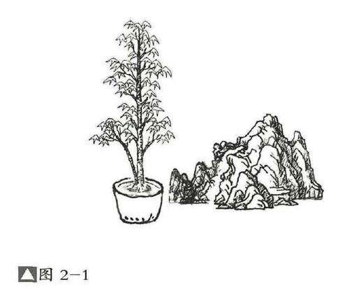 图解 石上树式附石盆景怎么制作