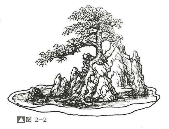 图解 石上树式附石盆景怎么制作